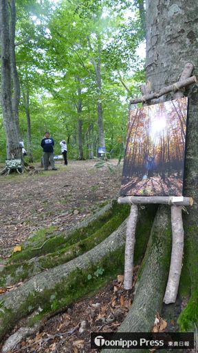 八甲田の森の中に置かれた写真