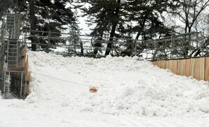 制作途中だった雪の滑り台。立ち入り禁止の札が下げられている＝20日午後2時半ごろ、弘前公園四の丸