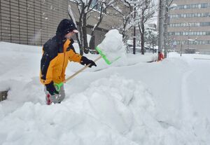 歩道確保のため除雪する日本赤十字社県支部職員＝27日午後2時19分、青森市長島1丁目