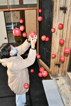 旧一戸時計店ではアートディレクターの窪田新さんがリンゴ生果を使った作品を準備していた