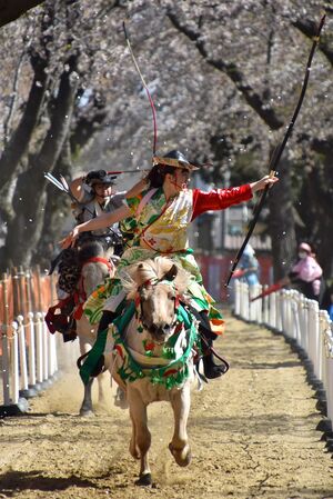 桜流鏑馬の団体戦で疾走する馬上から的を狙う騎手たち＝23日、十和田市中央公園緑地