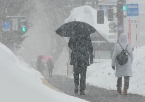 降りしきる雪の中を歩く市民＝13日午前8時41分、青森市長島1丁目