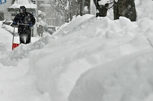 積雪が60センチを超えた青森市。雪が降りしきる中、歩道などの雪かきに追われる市民＝23日午前、同市緑1丁目