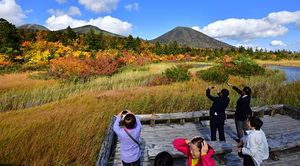 北八甲田の山々を背景に紅葉が見ごろを迎えている睡蓮沼周辺＝3日午後、十和田市