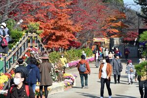 たくさんの人でにぎわった弘前城菊と紅葉まつり最終日の弘前公園植物園＝7日午前