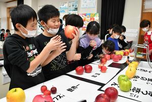 さまざまな品種のリンゴを持ったり、香りを嗅いだりする児童たち