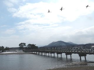 水鳥観察会（平内町浅所海岸・清水川漁港）2…