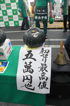 26日の初競りで、5万円で競り落とされた一球入魂かぼちゃ