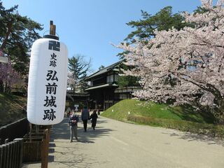 「弘前さくらまつり2021」の美しい桜をご…