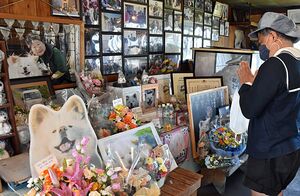 人気犬「わさお」が死んでから2年となり、命日に合わせてイカ焼き店に全国から花が届いた＝8日午前、鯵ケ沢町