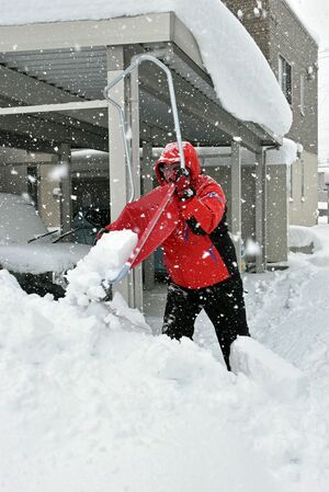 大雪に見舞われ雪かきに精を出す市民＝23日午前10時半ごろ、青森市奥野