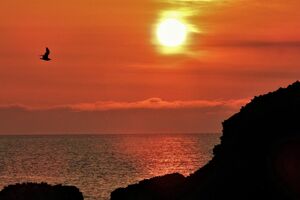 岩礁の彼方の海を赤々と染め沈んでいく「深浦の夕陽」＝千畳敷海岸