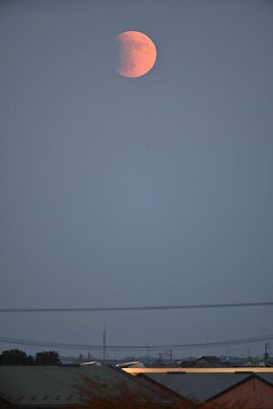 月の出後、地球の影で左側が暗くなり始めた月＝19日午後4時半、八戸市
