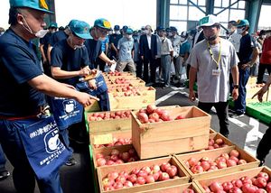 花祝が高値2万1600円をつけた津軽りんご市場の初競り＝3日午前9時ごろ、板柳町