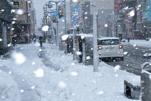 前日まで積雪0センチだった八戸市では水分を含んだ重たい雪が積もった＝19日午前9時半ごろ、同市三日町