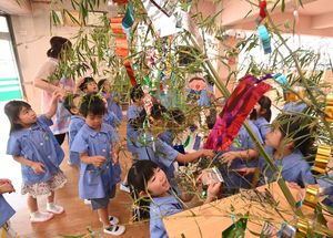 高さ約3メートルのササに取り付けた自分の短冊を確かめる子どもたち＝6日午前、青森市の東奥幼稚園