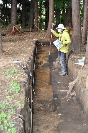 本年度調査した区域で見つかった溝状遺構＝14日、青森市の三内丸山遺跡