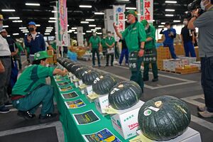 一球入魂かぼちゃの今年の初競り。最高値は1個5万円が付いた＝26日午前7時、八戸市中央卸売市場