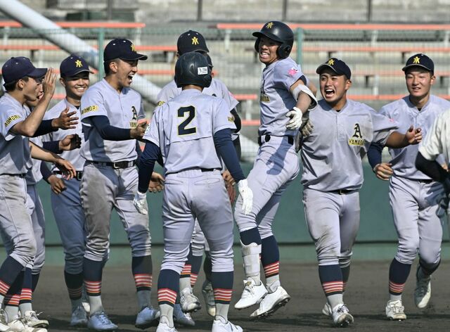 青森山田高校 野球部 公式戦用ユニフォーム 高校野球 甲子園 - 野球