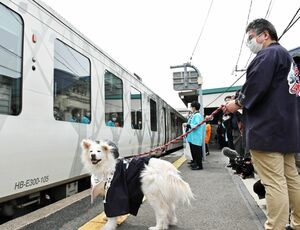 鯵ケ沢駅でリゾートしらかみの乗客を出迎える「ちょめ」